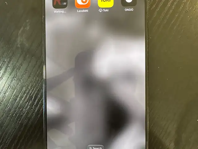 Apple iPhone 16 Pro Max, 256 gb, Улаанбаатар — Баянзүрх — Цайз 16