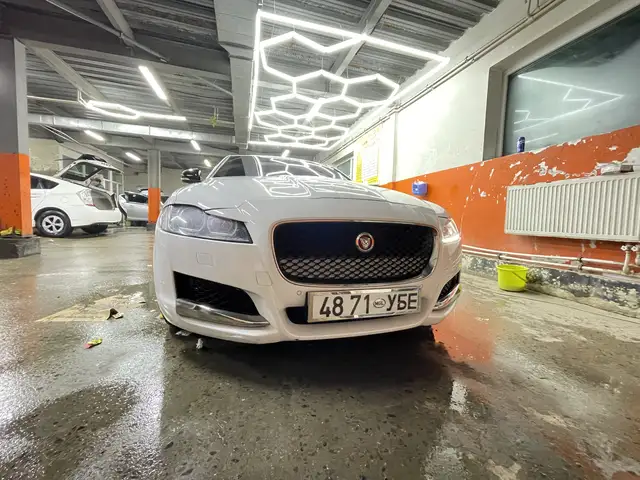 Jaguar Бусад