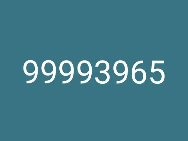 99993965, Улаанбаатар — Сүхбаатар — 5-р хороолол