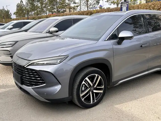 BYD Бусад
