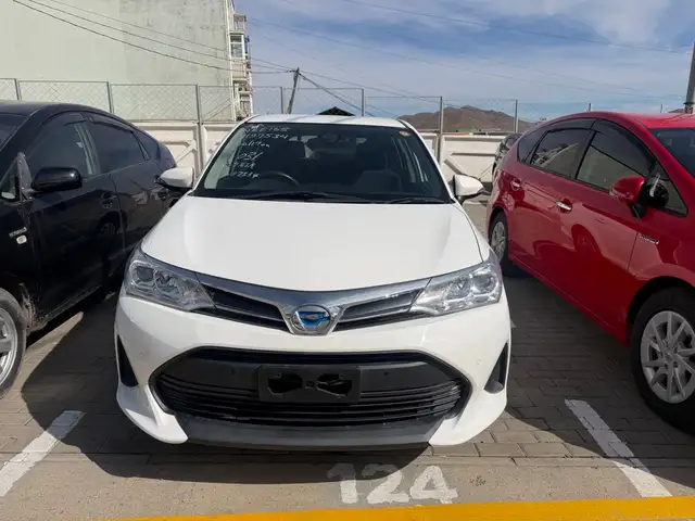 Toyota Corolla Fielder