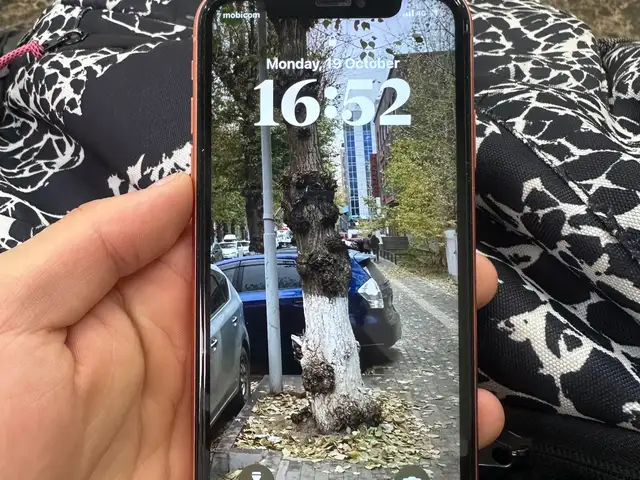 Apple iPhone Xr, 64 gb, Coral, Улаанбаатар — Сонгинохайрхан — Баянхошуу