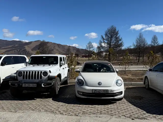 Volkswagen New Beetle