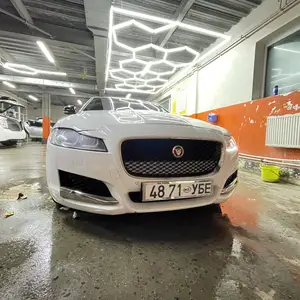 Jaguar Бусад