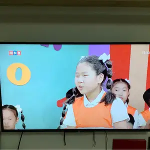 Sony 43 inch, Улаанбаатар — Хан-Уул — Яармаг