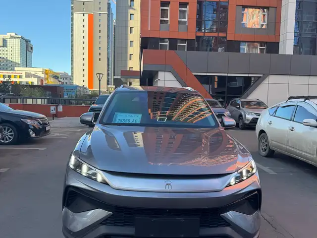BYD Бусад