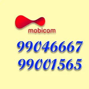 99046667, 99001565, Улаанбаатар — Баянгол — 3, 4 хороолол