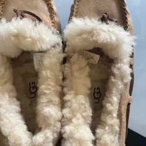 Ugg, Улаанбаатар — Чингэлтэй — Баянбүрд