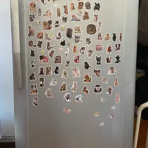 Sharp 1 хаалгатай хөргөгч, Улаанбаатар — Сүхбаатар — 100 айл