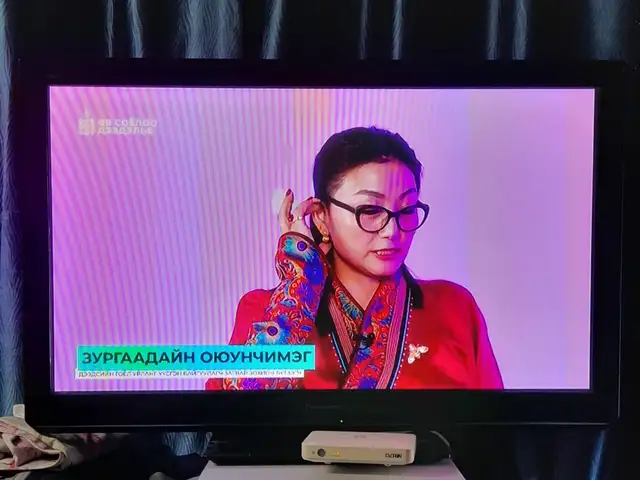 Panasonic 42 inch zuragt, Улаанбаатар — Баянгол — 23-р хороо