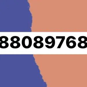 88089768, Улаанбаатар — Баянзүрх — 13-р хороолол
