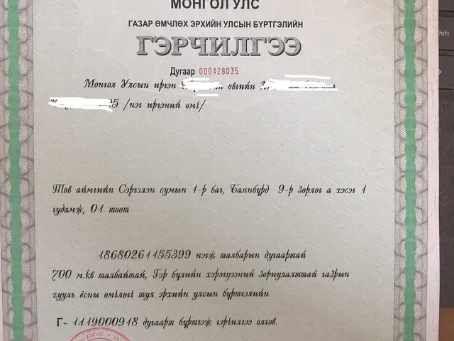 Замын үүд чиглэлийн төв засмал зам, вагон замын хооронд хоосон газар, Төв