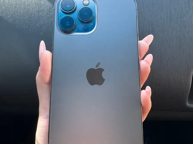 Apple iPhone 13 Pro Max, 256 gb, Graphite, Улаанбаатар — Сүхбаатар — Хүүхдийн 100