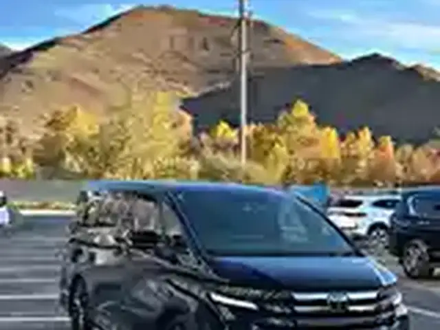 Vip vellfire авто түрээс, Улаанбаатар — Чингэлтэй — Хүнсний 4-р дэлгүүр
