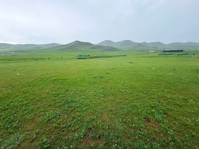 Түргэний голд 700м2 газар, Улаанбаатар — Хан-Уул — 16-р хороо