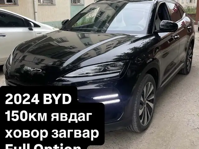 BYD Бусад