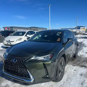 Lexus UX 250