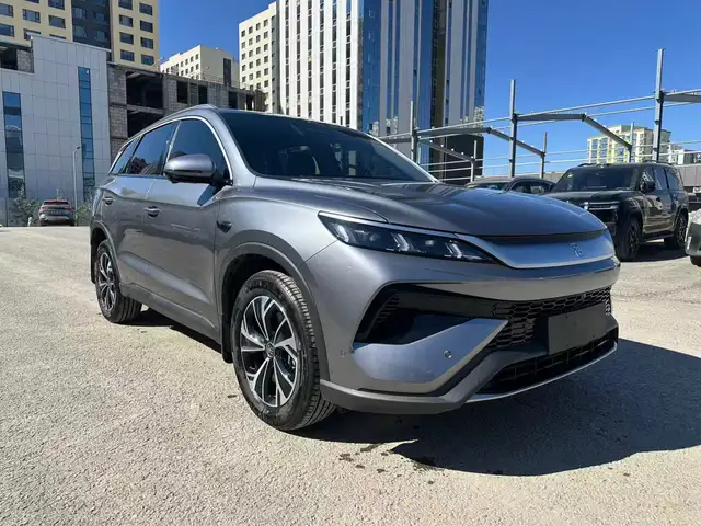 BYD Бусад