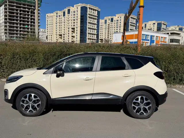 Renault Бусад