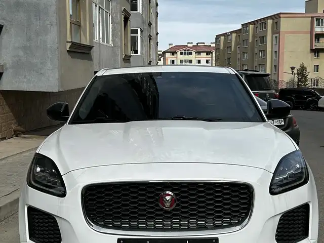 Jaguar Бусад