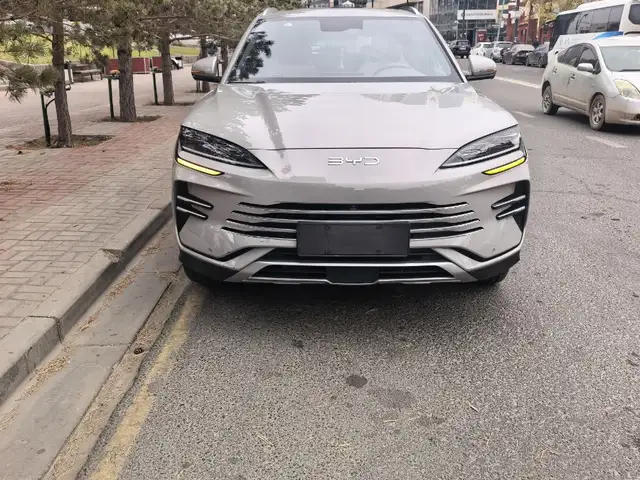 BYD Бусад