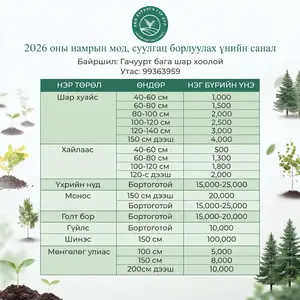 Модны суулгац, Улаанбаатар — Баянзүрх — 20-р хороо