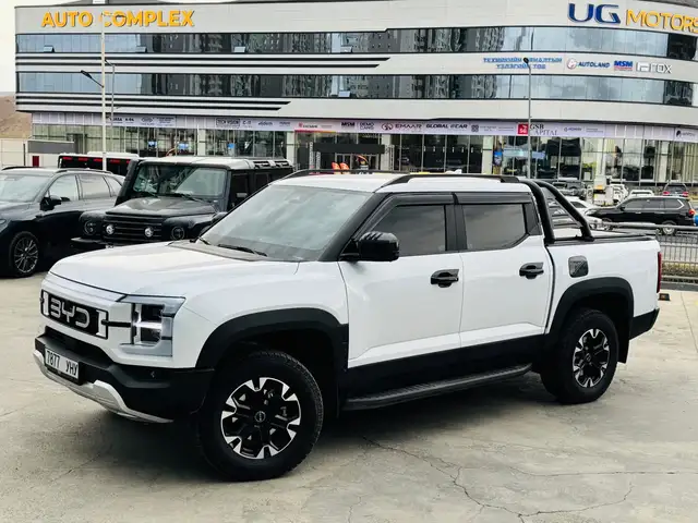 BYD Бусад