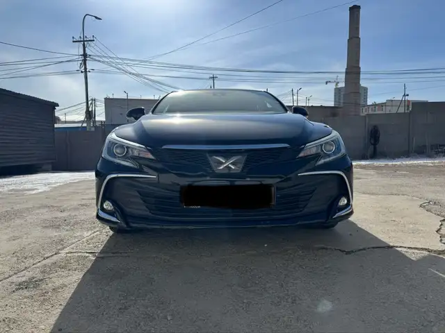 Toyota Mark