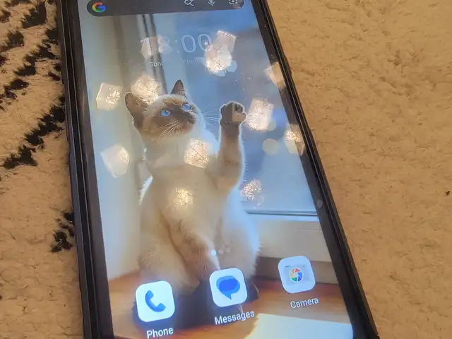 Ulefone, Улаанбаатар — Баянзүрх — Офицер