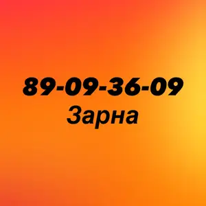 89-09-36-09, Улаанбаатар — Хан-Уул — 120 мянгат