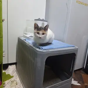 Муур, Улаанбаатар — Баянзүрх — 2-р хороо