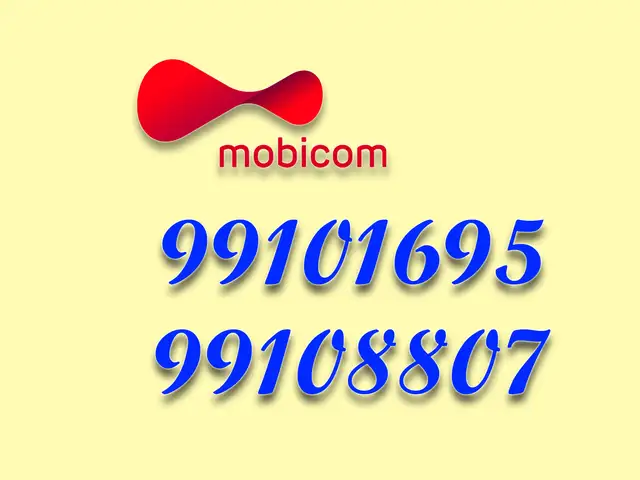 99101695, 99108807, Улаанбаатар — Баянгол — 3, 4 хороолол