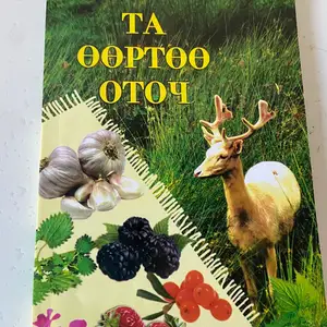 Та өөртөө оточ, Улаанбаатар — Баянзүрх — 16-р хороолол