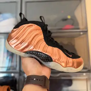 Nike air foamposite one copper, Улаанбаатар — Сүхбаатар — Дөлгөөн нуур