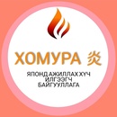 Дөл констракшн ххк