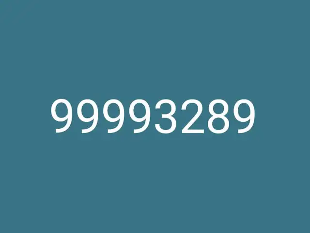 99993289, Улаанбаатар — Сүхбаатар — 5-р хороолол