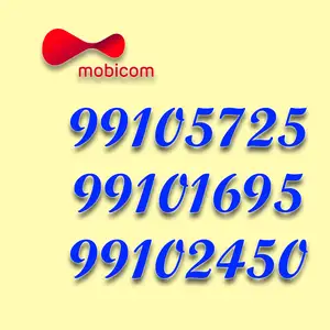 99105725 99101695 99102450, Улаанбаатар — Баянгол — 3, 4 хороолол