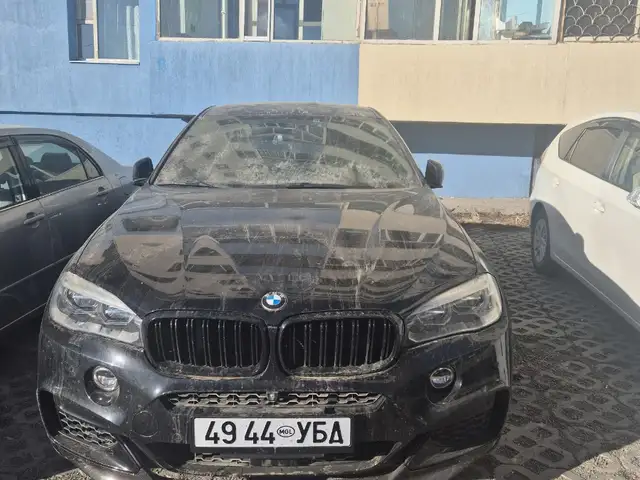 BMW X6