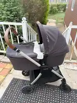 Nuna triv teregiin bassinet, Улаанбаатар — Сүхбаатар — 5-р хороо - 4