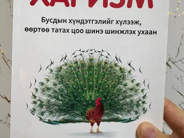 Харизм ном, Улаанбаатар — Баянзүрх — 13-р хороолол