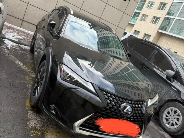 Lexus UX 250