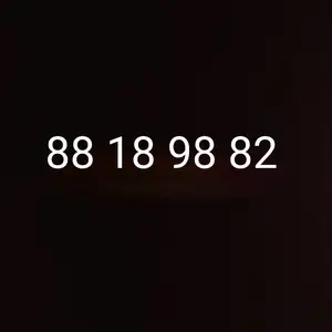 8818, Улаанбаатар — Сүхбаатар — 220 мянгат