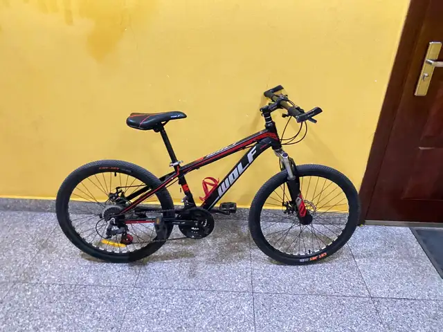 14inch dugui, Улаанбаатар — Сүхбаатар — Хүүхдийн 100