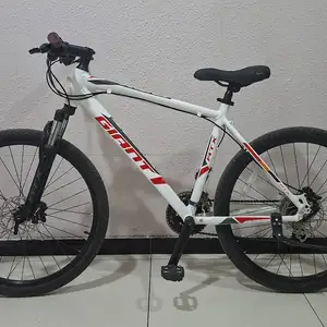 Giant ATX 660plus, Улаанбаатар — Баянгол — 10-р хороолол