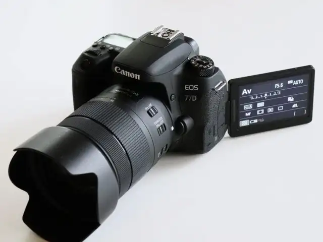 Canon 77d, Улаанбаатар — Сүхбаатар — 10-р хороо