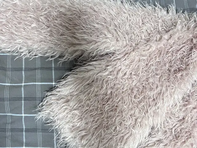 Bershka usleg /zuulun ygaan ungutei/, Улаанбаатар — Баянзүрх — 13-р хороолол