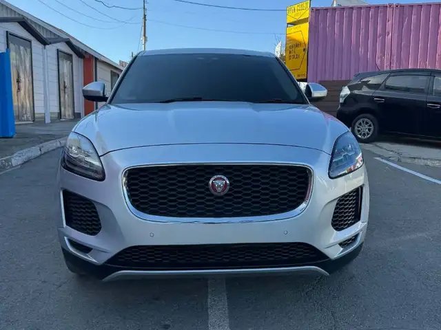 Jaguar Бусад