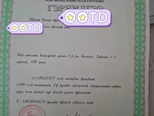 Яаралтай 2айлын газар, Төв