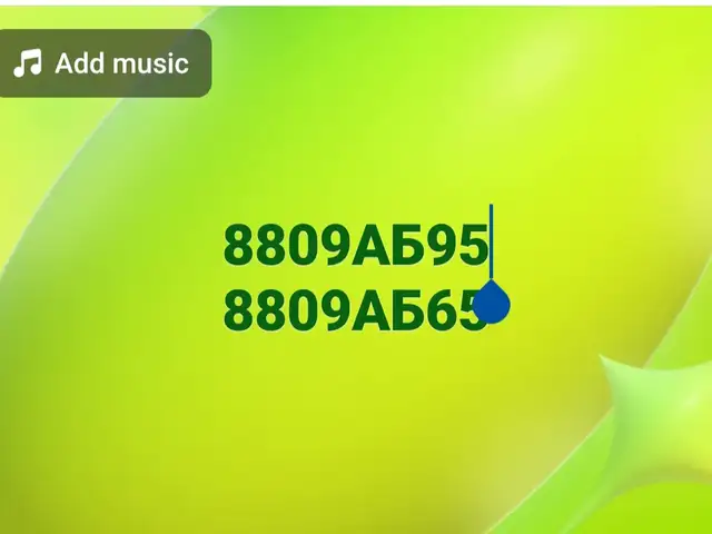 8809АБ95, 8809АБ65 хос дугаар, Улаанбаатар — Баянзүрх — Бөхийн Өргөө