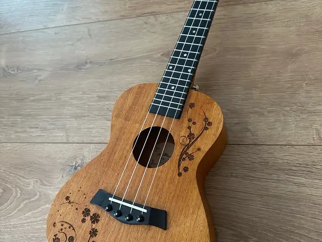 Ukulele, Улаанбаатар — Хан-Уул — 15-р хороо